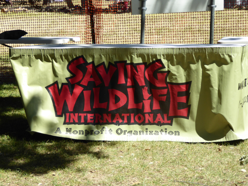 Saving Wildlife Saving Wildlife